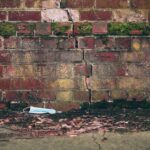 what are brownfield sites contamination and redevelopment