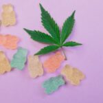 what are cbd gummies for uses effects and risks