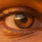 what are cones in the retina and how do they work