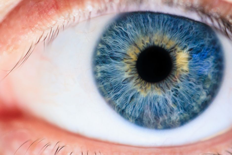 what are dilated pupils
