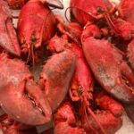 what are female lobsters called and how to identify one