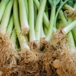 what are leeks good for