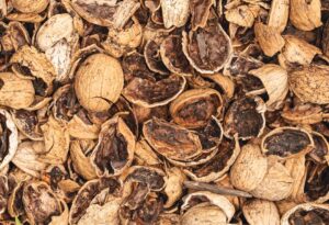 What Are Low Residue Foods? Simplified 1 what are low residue foods