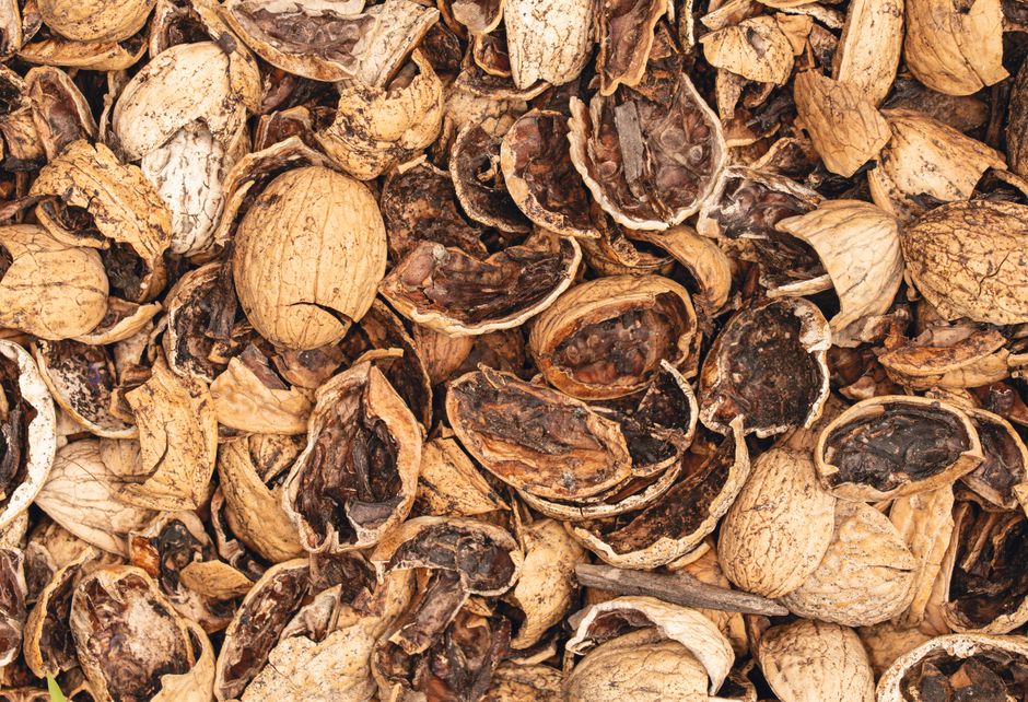 what are low residue foods