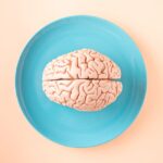 what are neural progenitor cells and how do they work