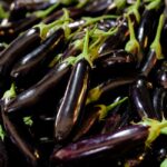 what are nightshade vegetable