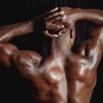 what are the muscles in the muscular system