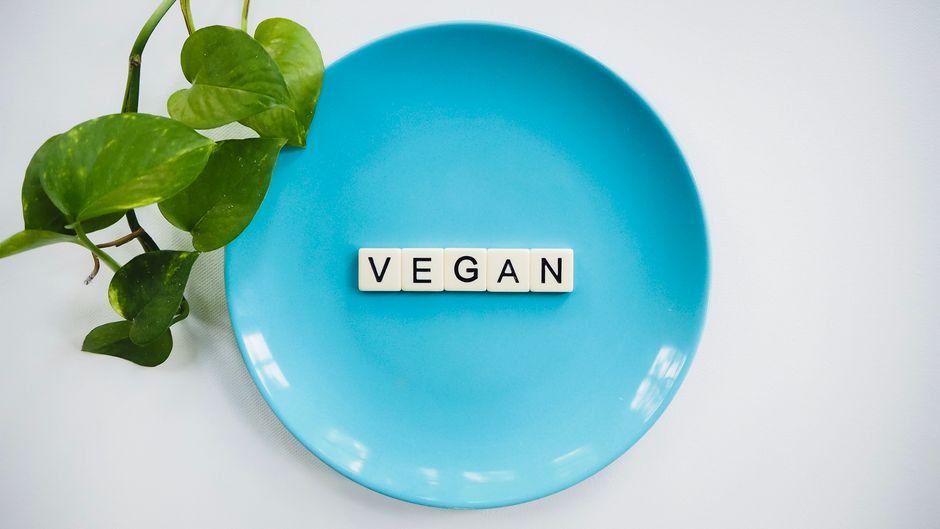 what can a vegetarian eat