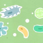 what causes a stye bacteria types prevention