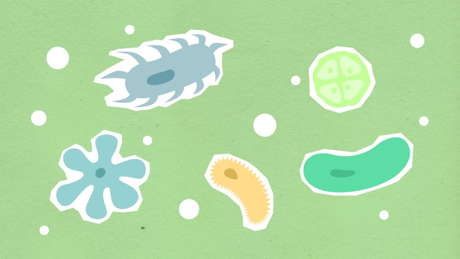 what causes a stye bacteria types prevention