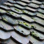 what causes mold in a house