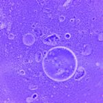what does it mean if a cell is cd45 positive