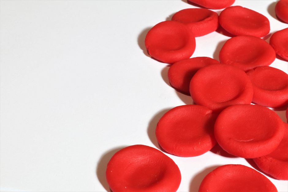 what does it mean when red blood cells are high