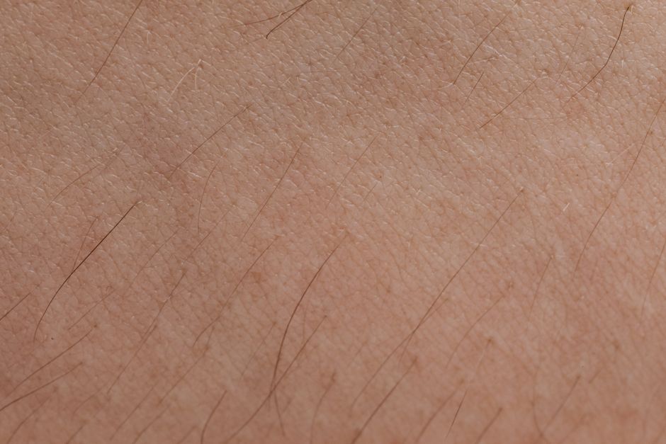what does plucking hair do to your follicles