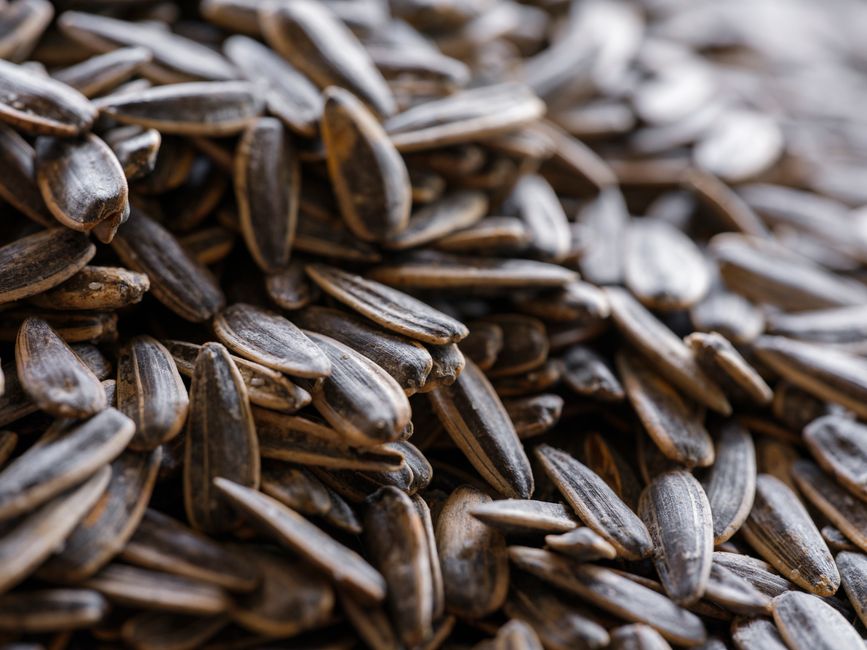 what foods have magnesium for leg cramps