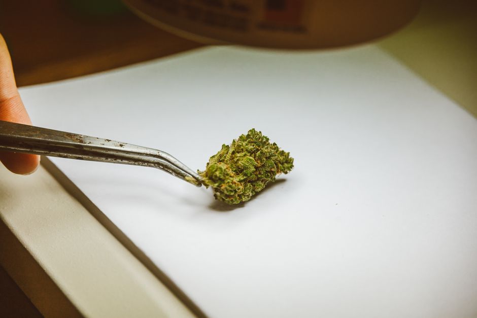 what is a cbd dispensary vs a marijuana store