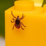 what is a poison control center and how does it work