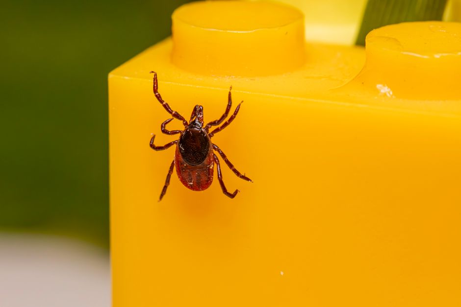 what is a poison control center and how does it work