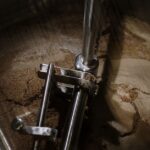 what is a wort brewing term and botanical meaning