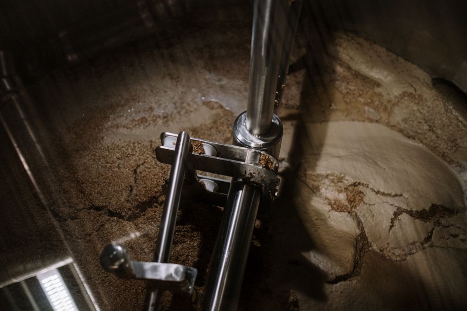 what is a wort brewing term and botanical meaning