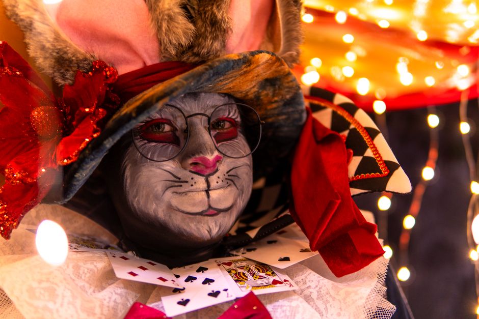 what is alice in wonderland syndrome causes treatment