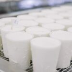 what is cheese whey from byproduct to protein supplement