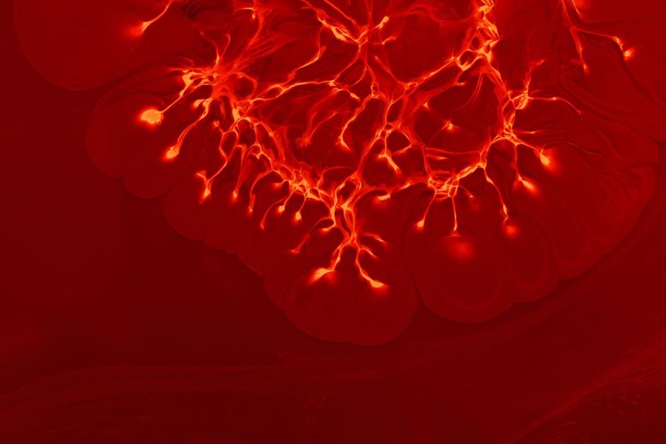 what is function of capillaries