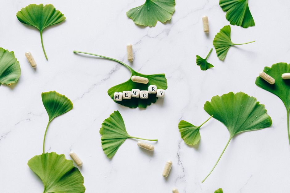 what is gist memory and why it creates false memories