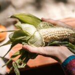 what is husking corn how to remove husks and silk