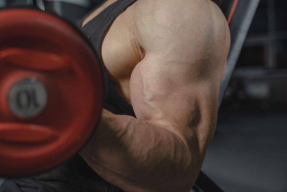 what is l citrulline