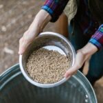 what is milo feed nutrition and livestock uses