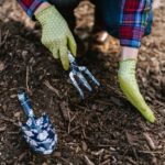 what is mulch used for benefits how to apply