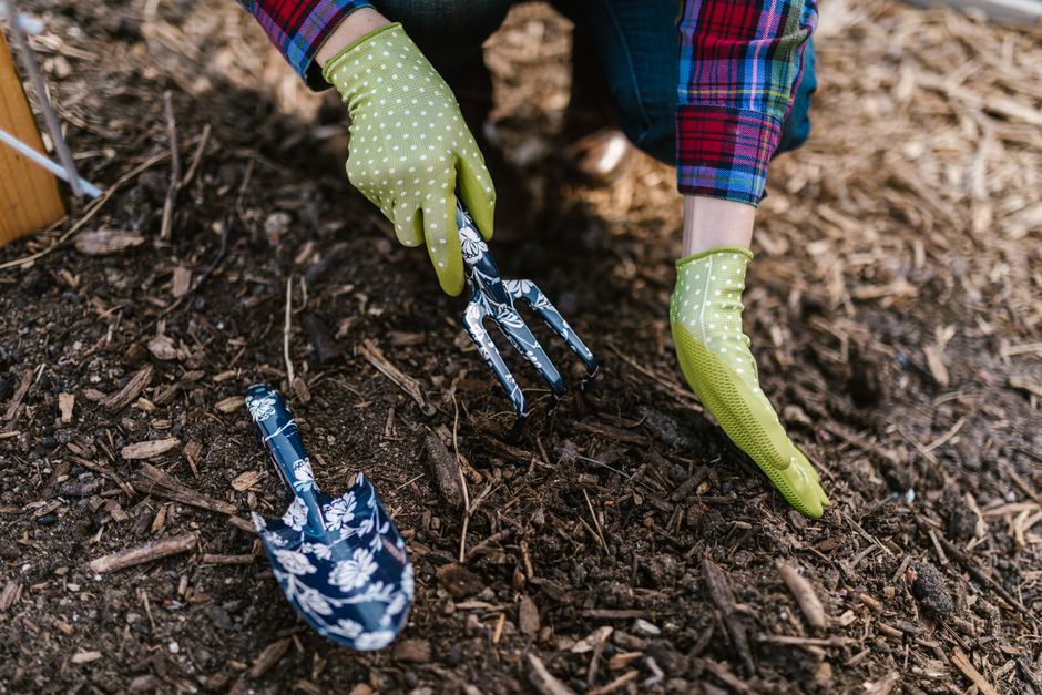 what is mulch used for benefits how to apply