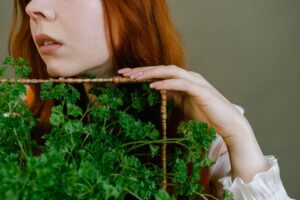 What Is Parsley Water Good For Kidneys Skin More? 8 what is parsley water good for kidneys skin more