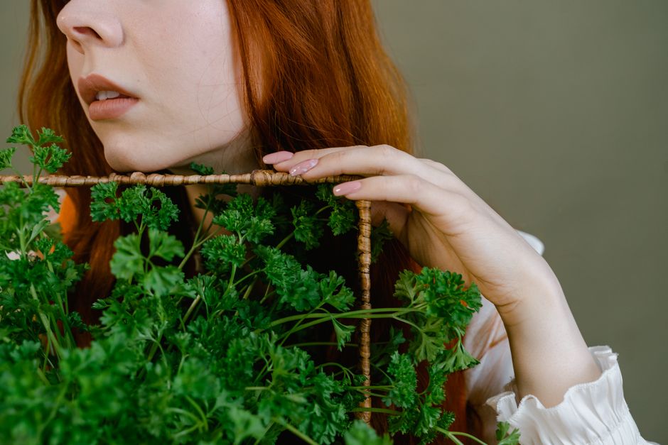 what is parsley water good for kidneys skin more