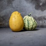 what is spaghetti squash