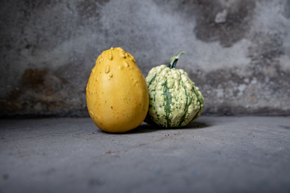 what is spaghetti squash