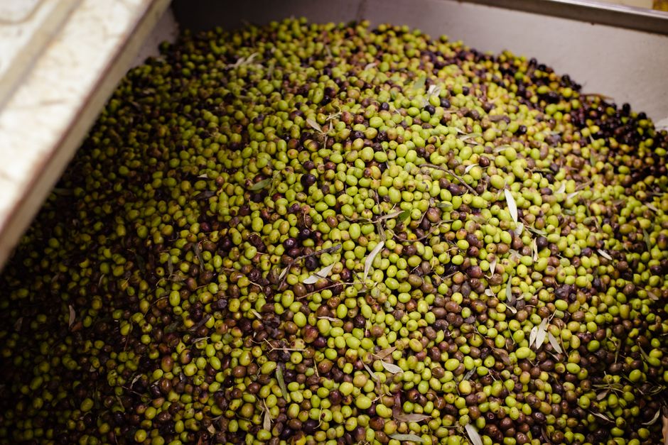 what is unrefined olive oil taste nutrition more