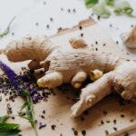 what is zingiber officinale the science behind ginger