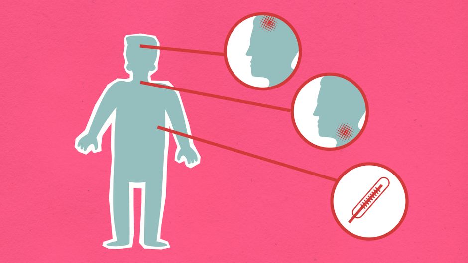 what rabies does to a person symptoms to death