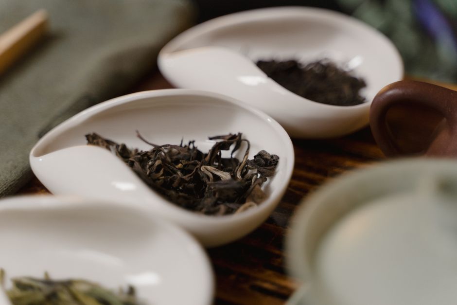 what tea burns fat green oolong and white tea ranked