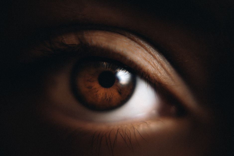 what the pupil does