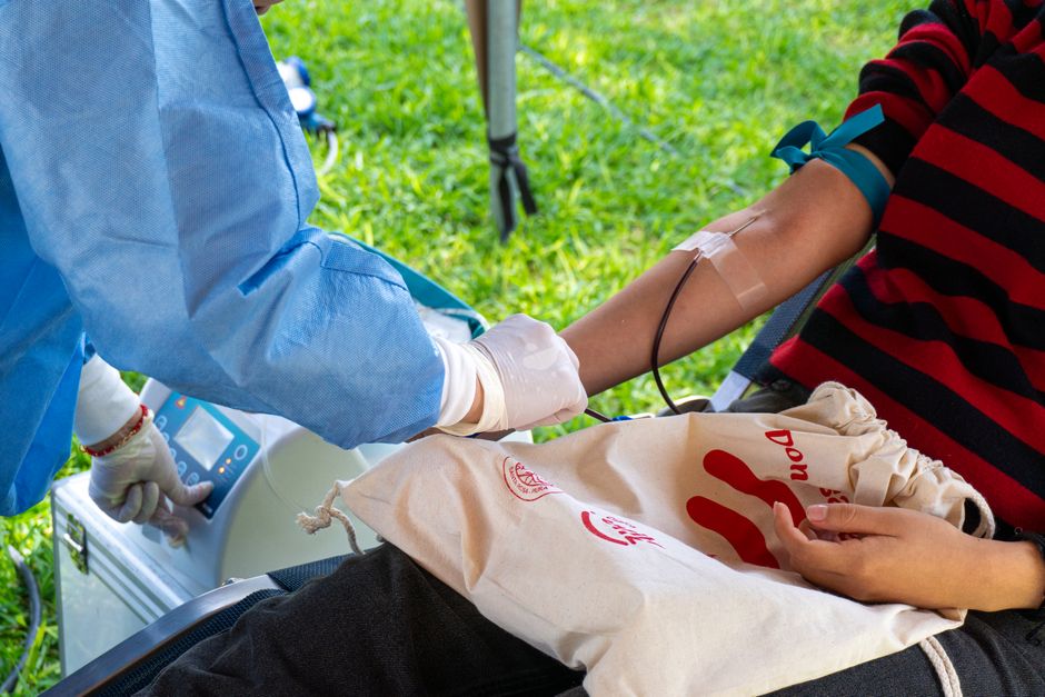 what to eat before donating plasma protein iron more