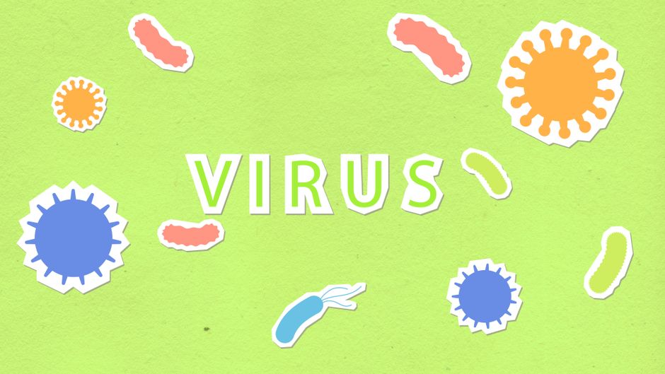 what to eat when you have norovirus