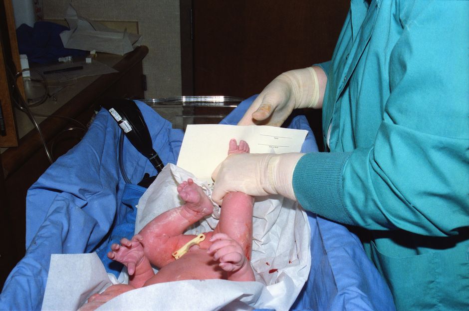 when does the umbilical cord form