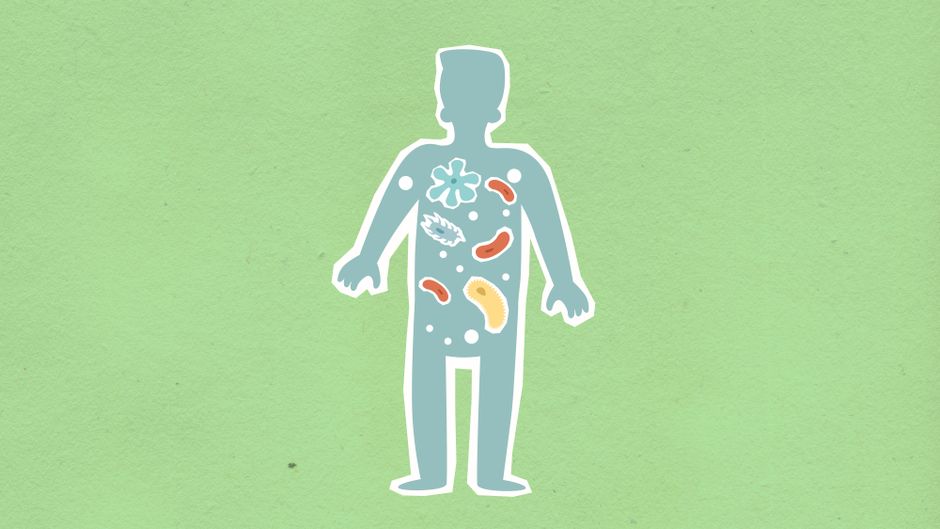 where does gut bacteria come from birth to adulthood