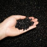 why do beans make you gassy