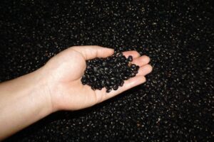 Why Do Beans Make You Gassy? Science Explained 7 why do beans make you gassy