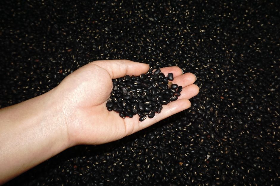 why do beans make you have gas