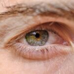 why do i see a circle when i blink